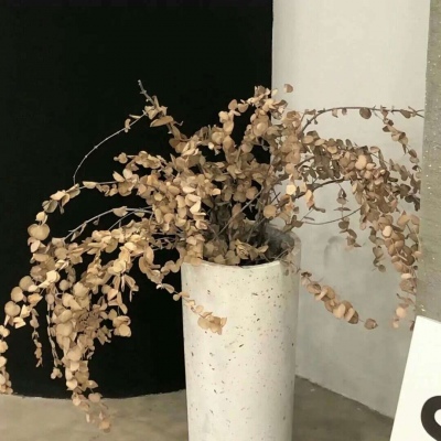 Furry绘画质感提升兽圈社群